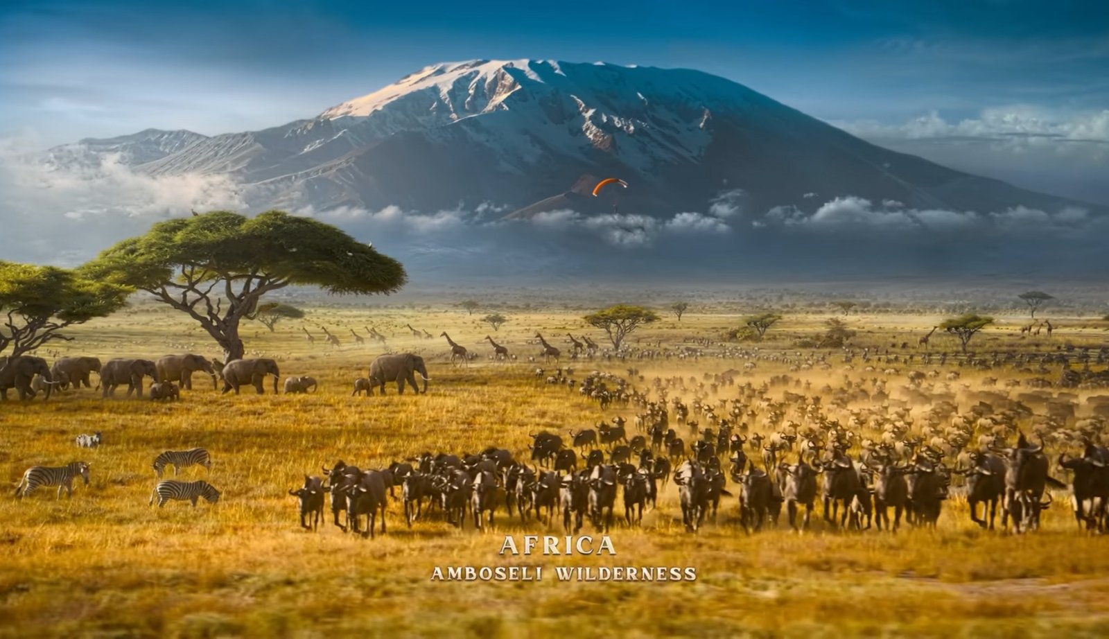 Real Locations for the Film