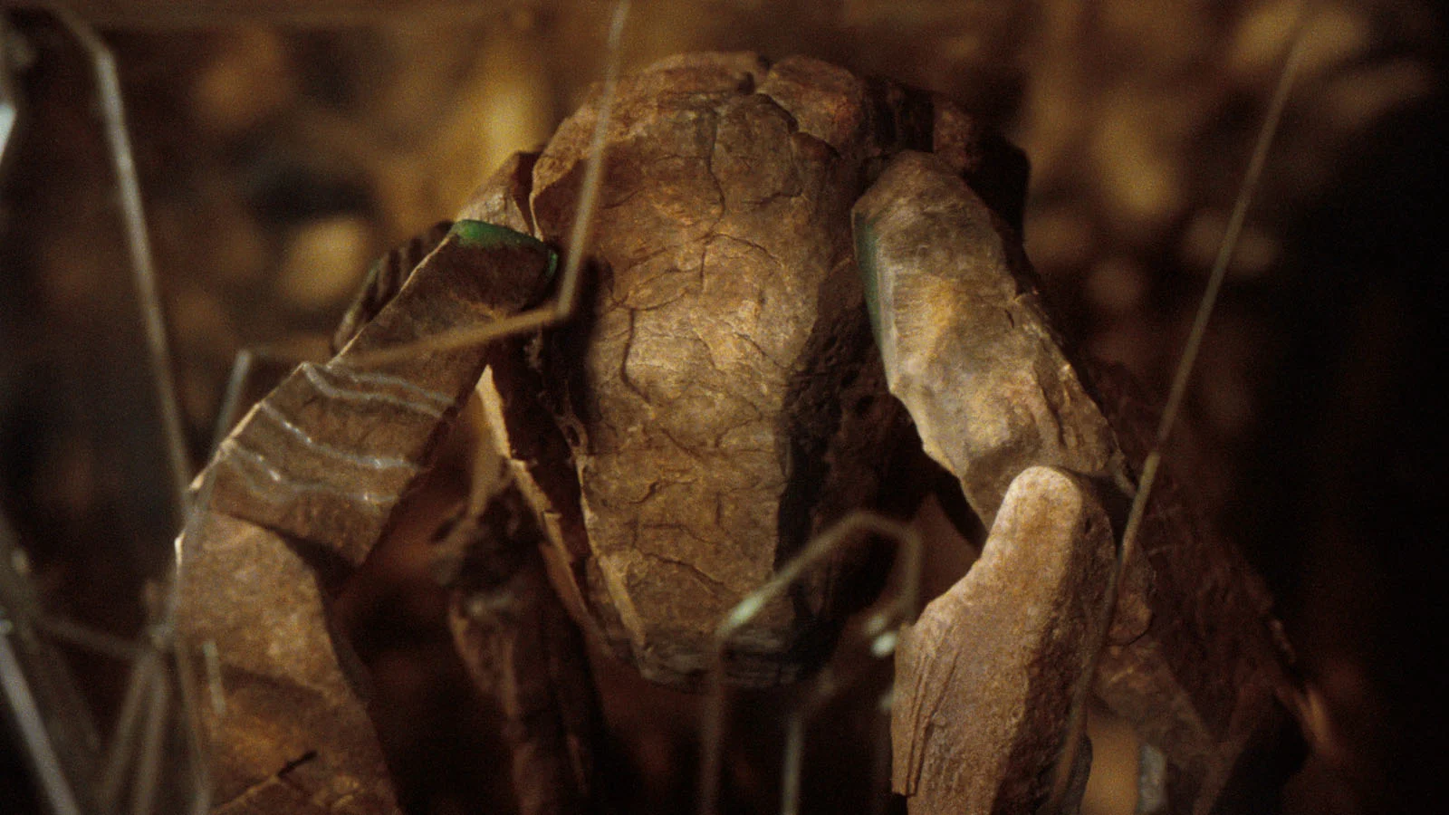 Alien Rocky from Hail Mary Movie 